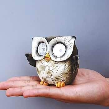 61KEw+Mps0L._AC_UF350,